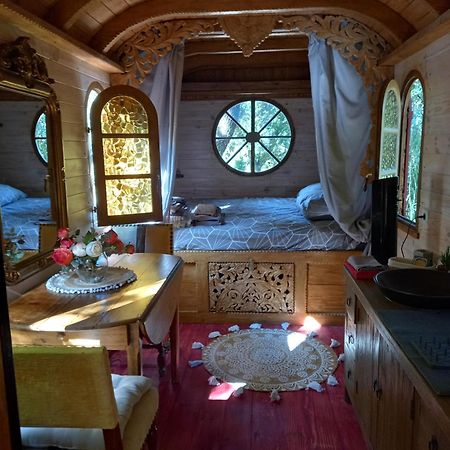 La Roulotte Du Petit Paradis Saint-Rémy-de-Provence Екстериор снимка