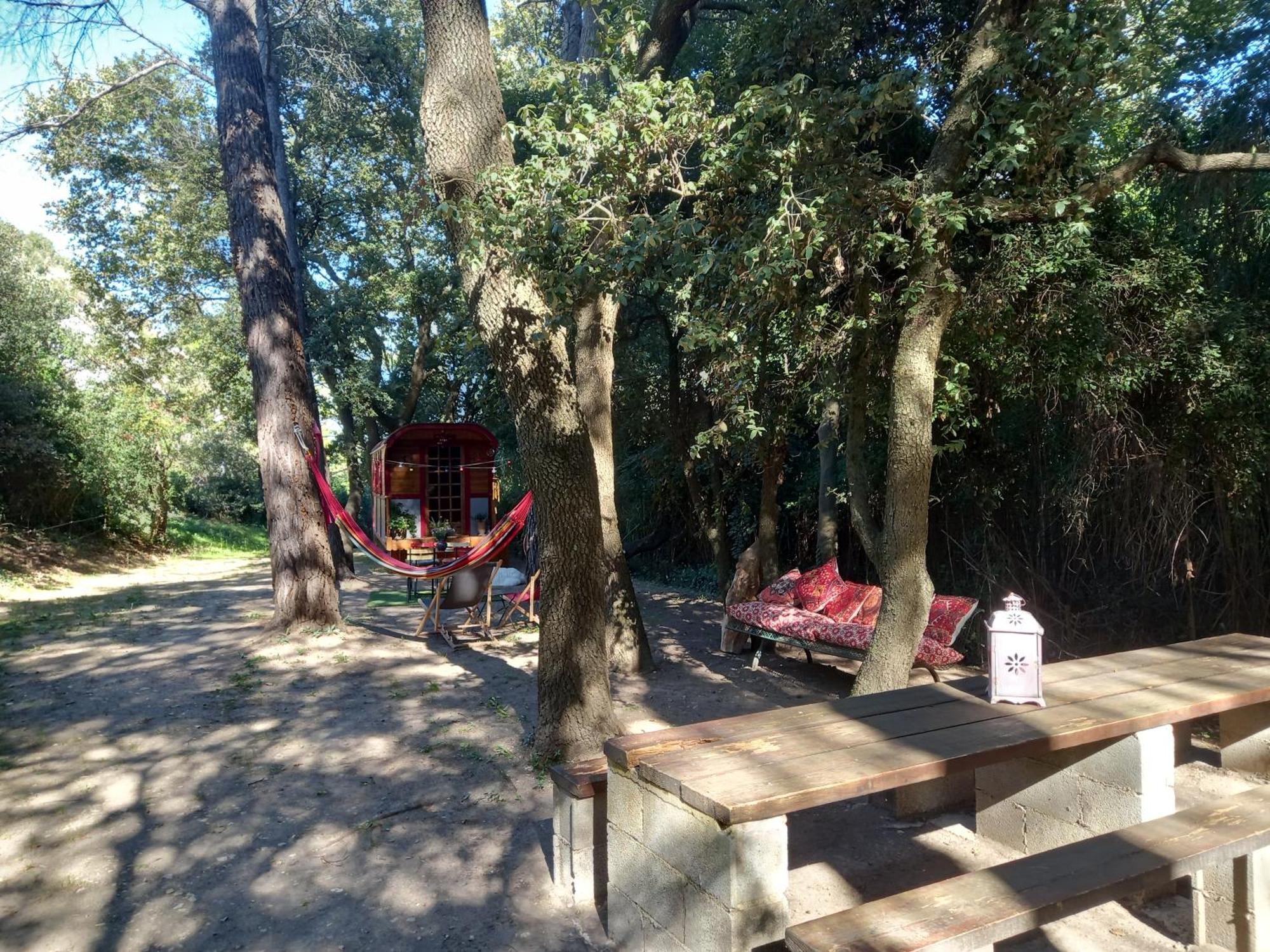 La Roulotte Du Petit Paradis Saint-Rémy-de-Provence Екстериор снимка