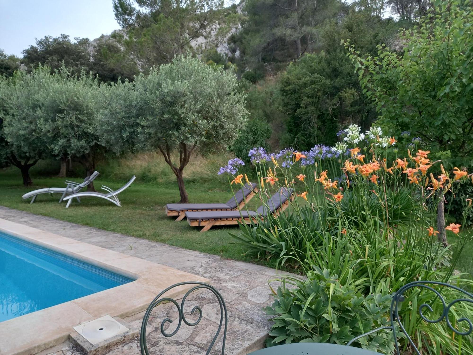 La Roulotte Du Petit Paradis Saint-Rémy-de-Provence Екстериор снимка