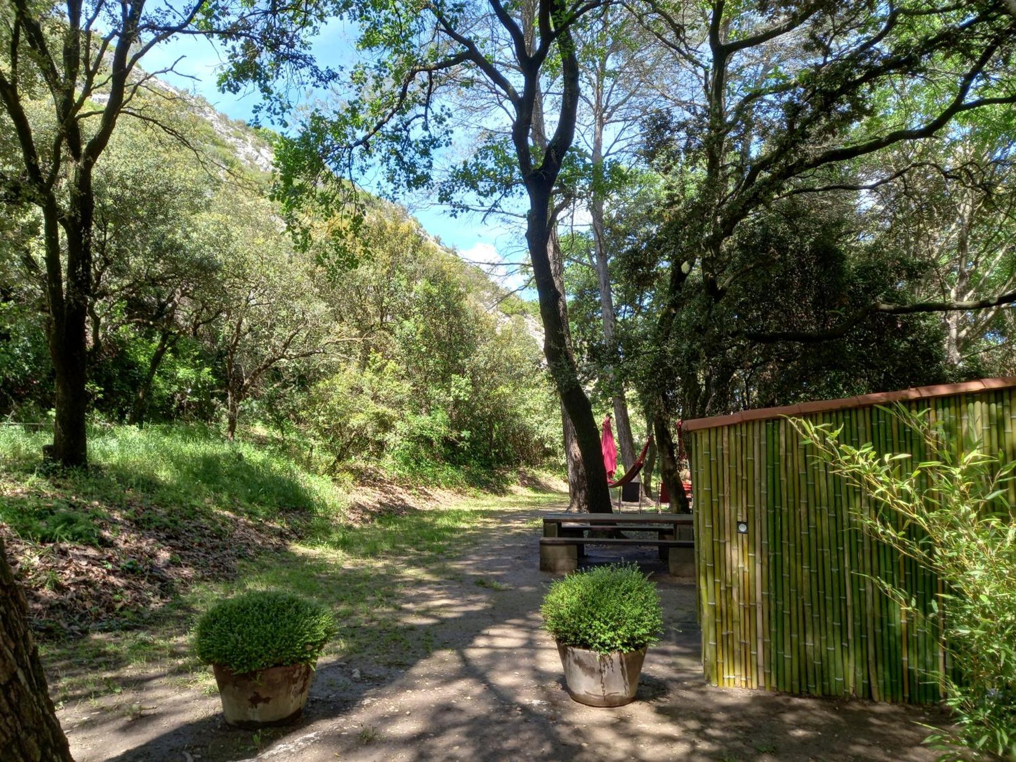 La Roulotte Du Petit Paradis Saint-Rémy-de-Provence Екстериор снимка