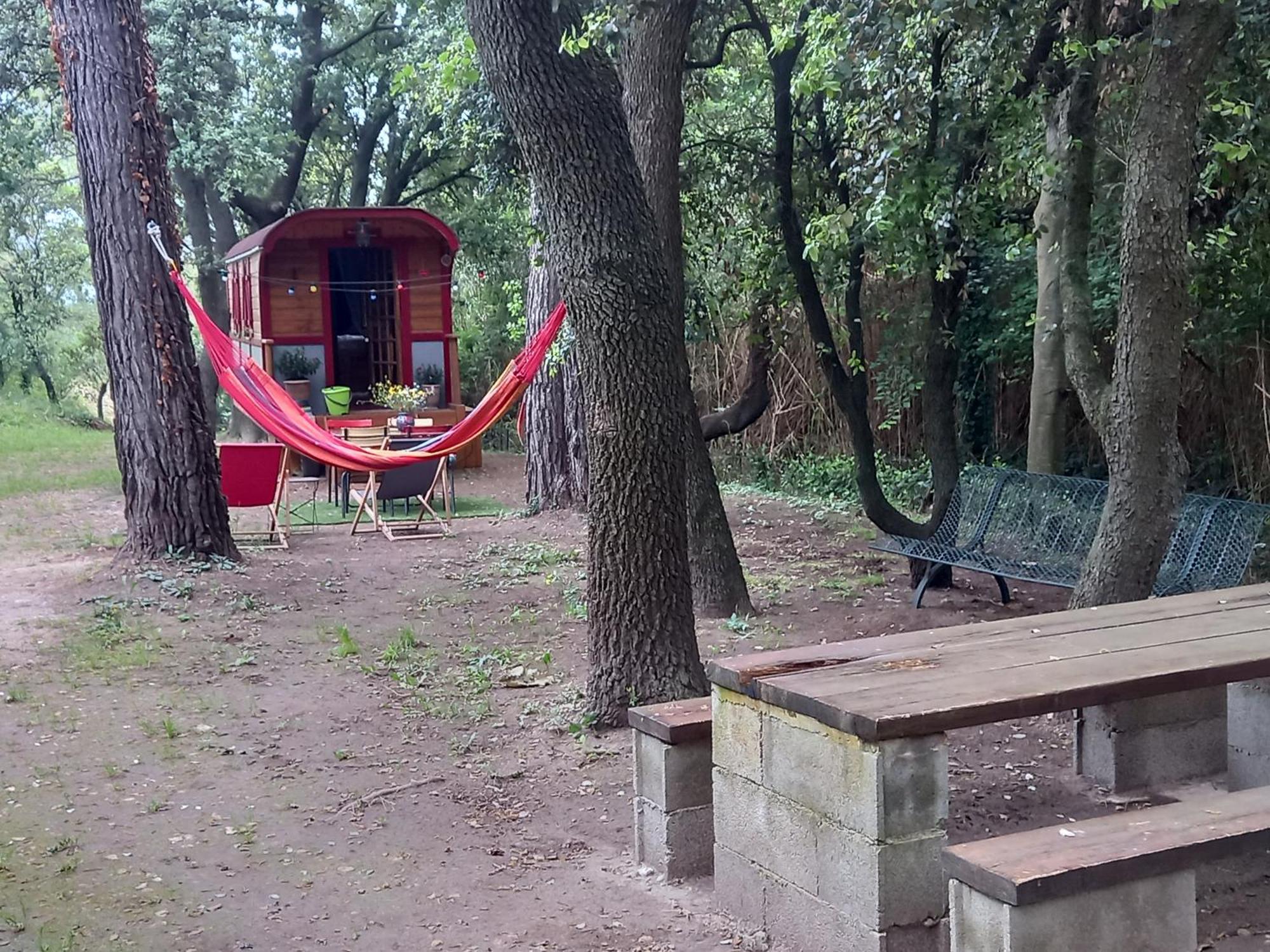 La Roulotte Du Petit Paradis Saint-Rémy-de-Provence Екстериор снимка