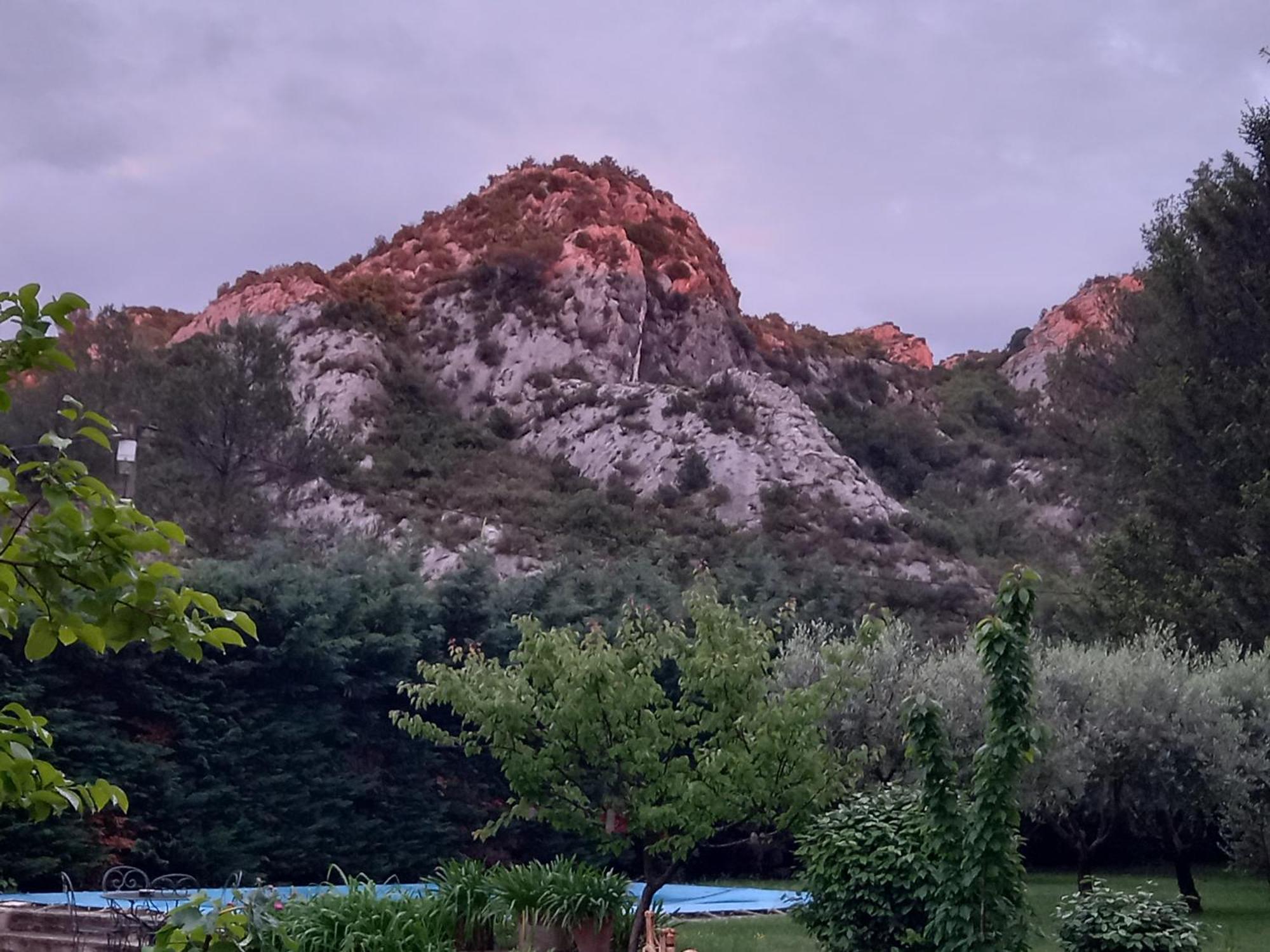 La Roulotte Du Petit Paradis Saint-Rémy-de-Provence Екстериор снимка
