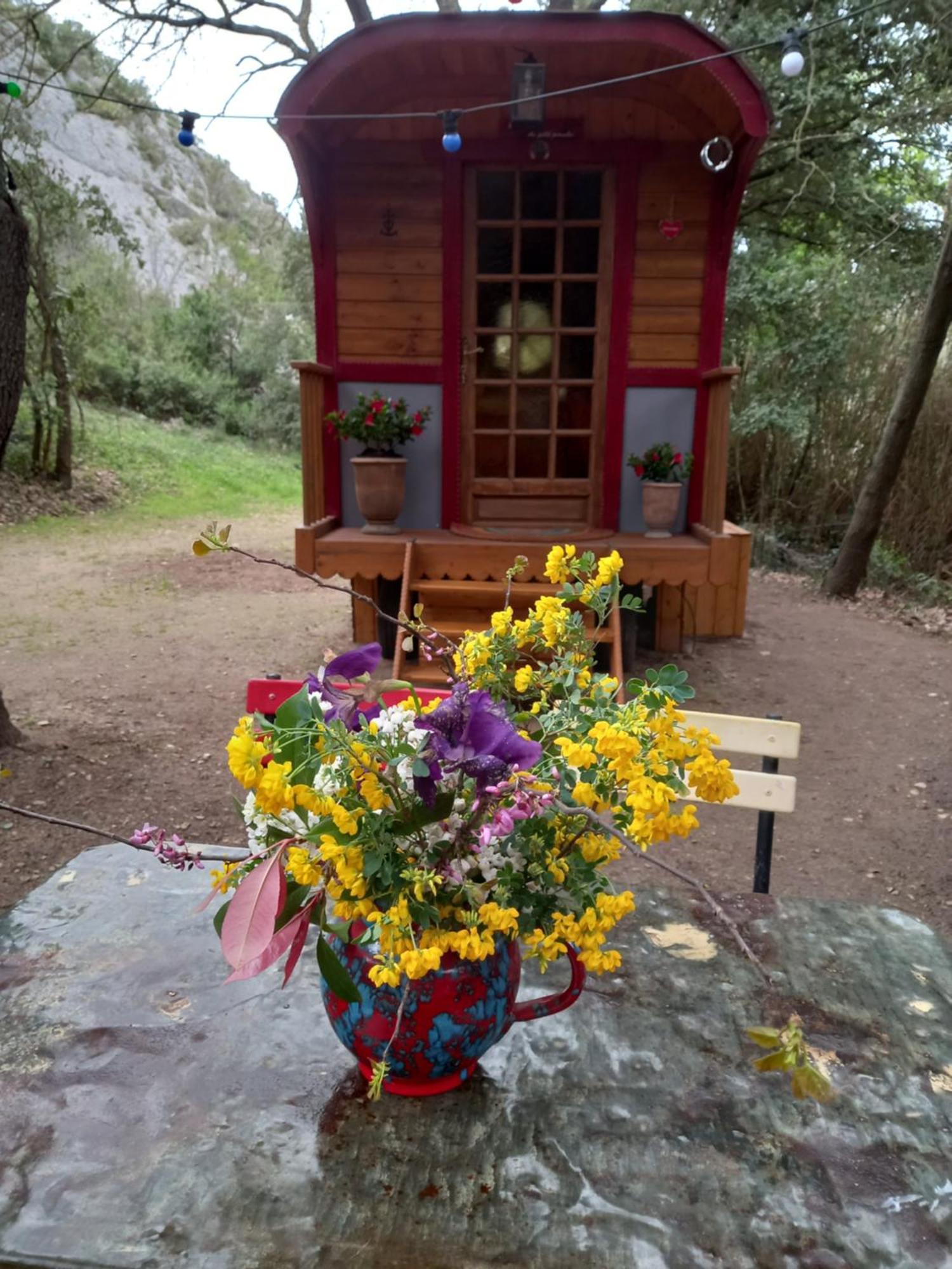 La Roulotte Du Petit Paradis Saint-Rémy-de-Provence Екстериор снимка