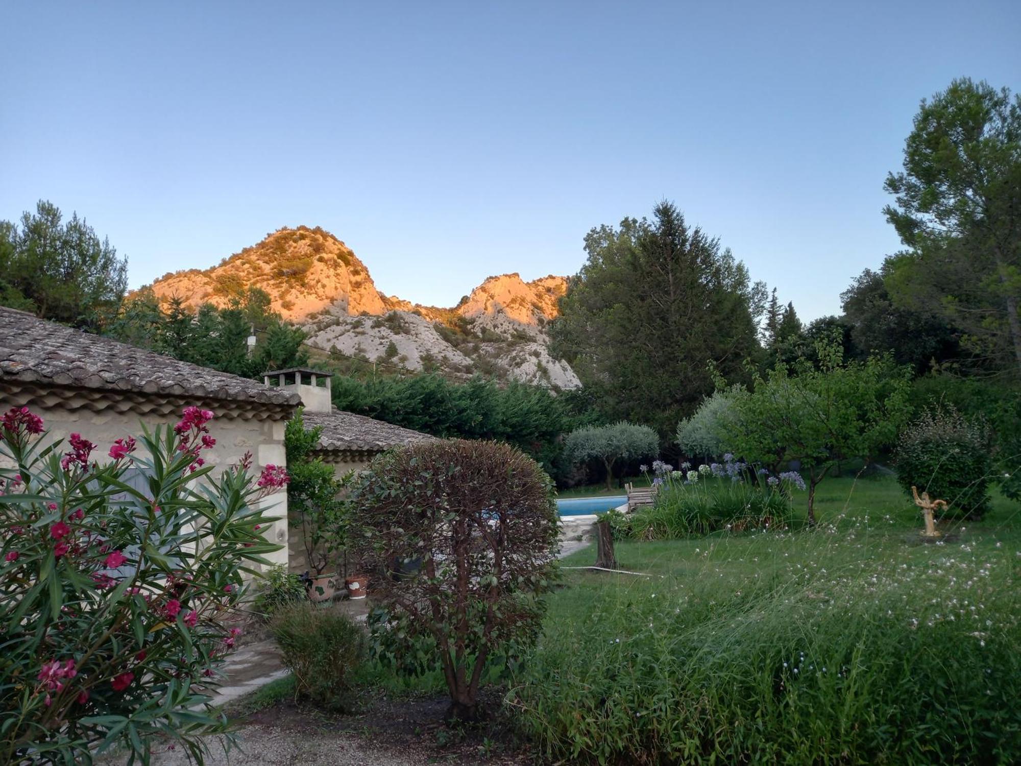 La Roulotte Du Petit Paradis Saint-Rémy-de-Provence Екстериор снимка