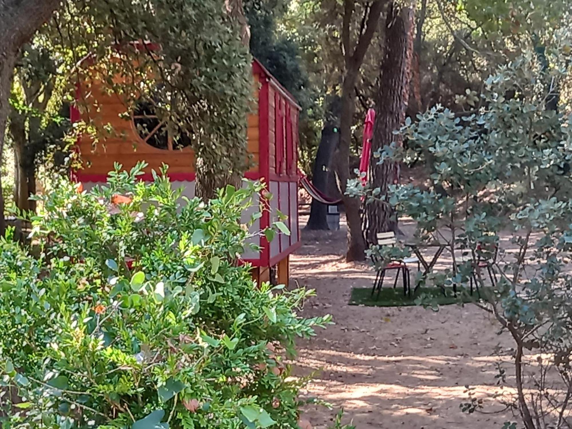 La Roulotte Du Petit Paradis Saint-Rémy-de-Provence Екстериор снимка