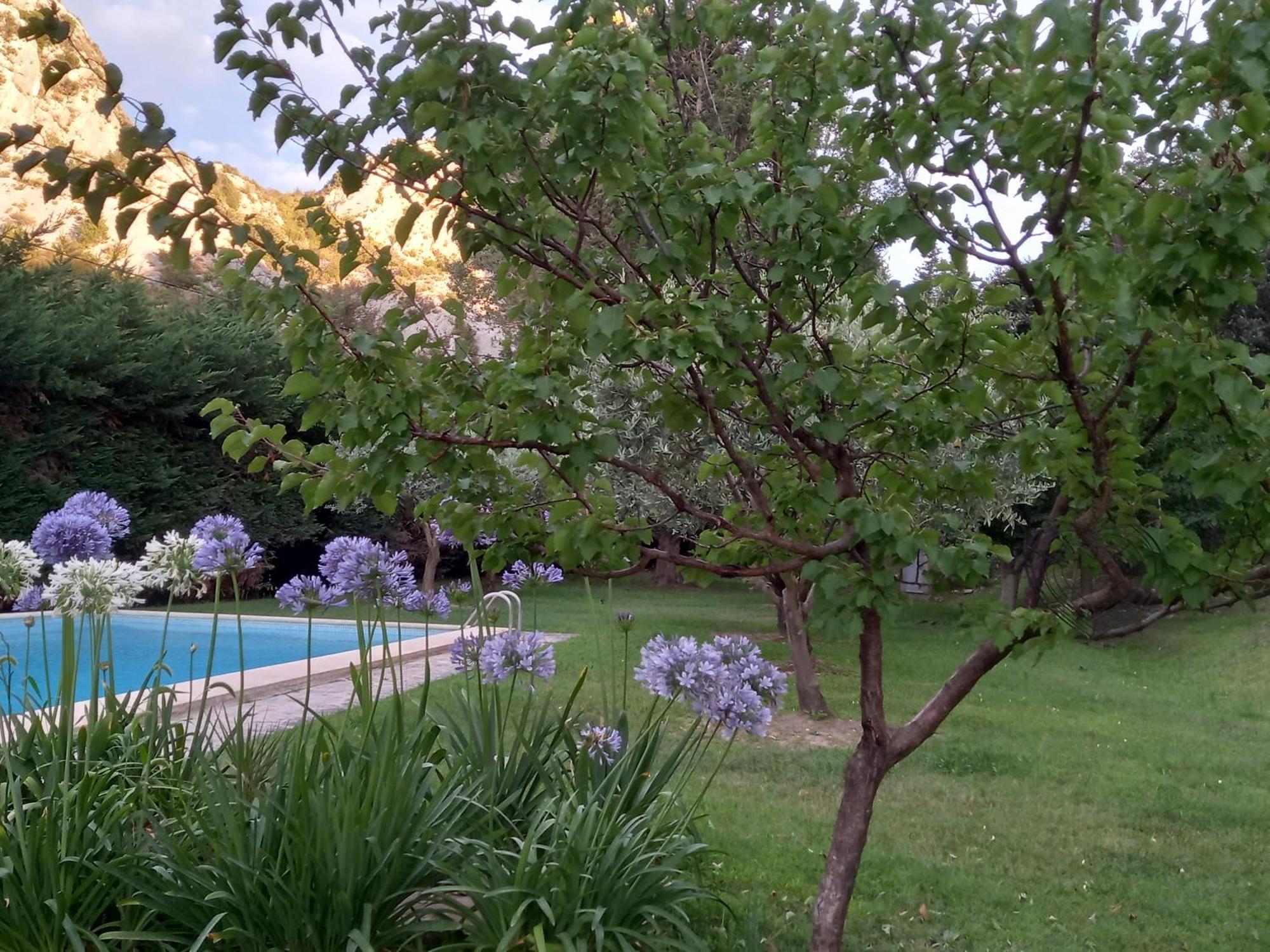 La Roulotte Du Petit Paradis Saint-Rémy-de-Provence Екстериор снимка